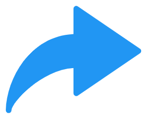 fleche dubard automatismes